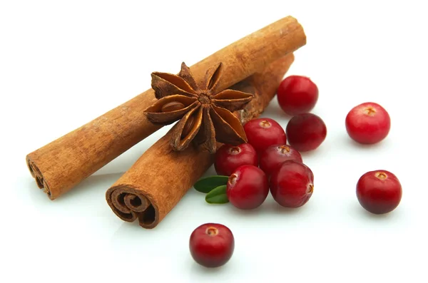 Tranbär och kryddor — Stockfoto