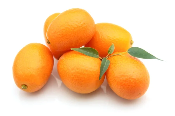 Swee kumquat — Stock fotografie