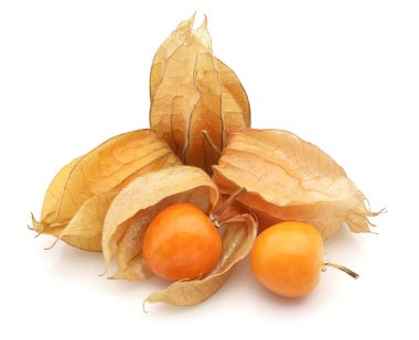 Physalis