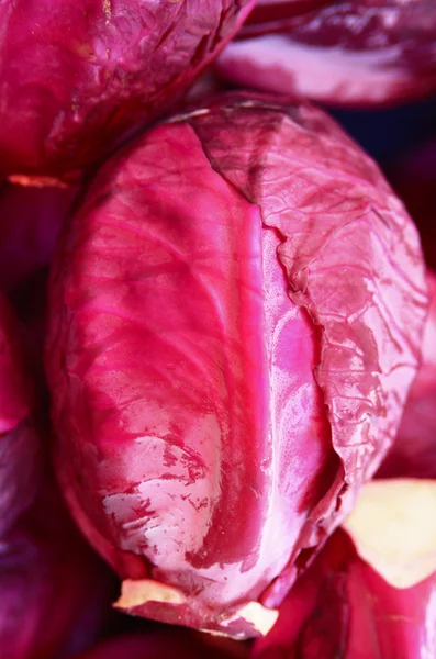Красная капуста — стоковое фото