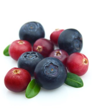 Bilberry ve kızılcık
