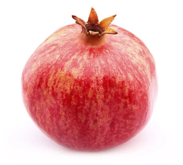 Der ganze Granatapfel — Stockfoto
