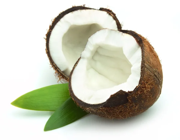 Noci di cocco — Foto Stock