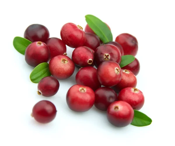 冬季 berry.cranberry — 图库照片