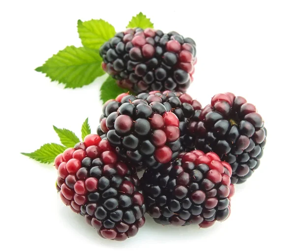 Group ripe blackberry — Stock Photo, Image