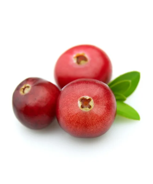 小红莓 — 图库照片