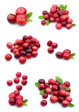 Collage from cranberry clipart