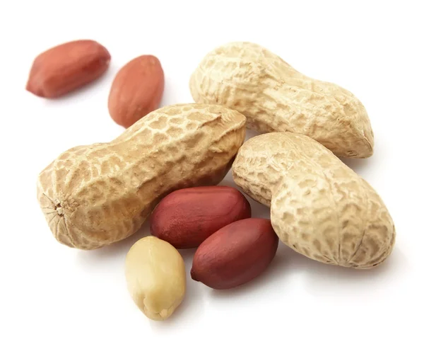 Closeup de amendoim — Fotografia de Stock