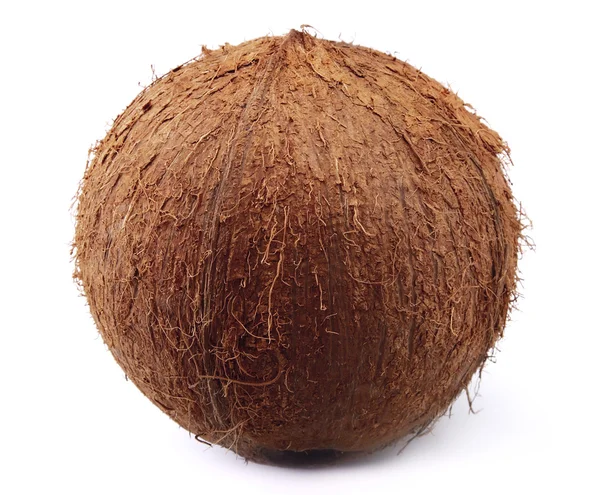 Gros plan de noix de coco — Photo