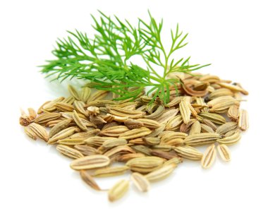 Seeds and a fennel branch clipart