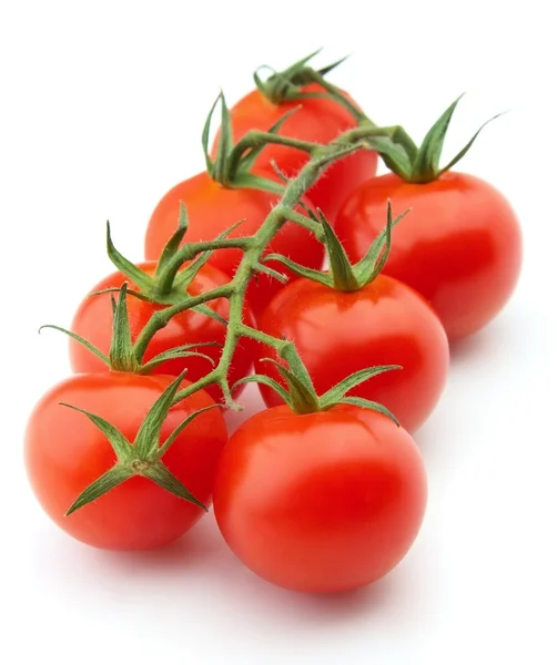 Tomate de ramo maduro — Fotografia de Stock