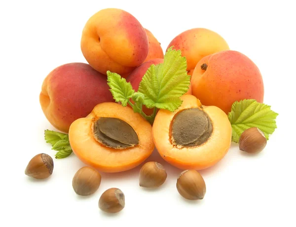Apricots and filbert — Stock Photo, Image
