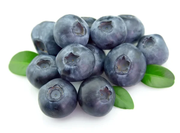 Bilberries closeup — Stock Photo, Image