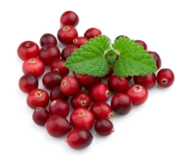 Cranberry maduro com uma hortelã — Fotografia de Stock