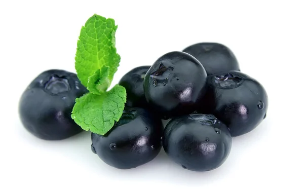 Blueberry with mint — Stock Photo, Image