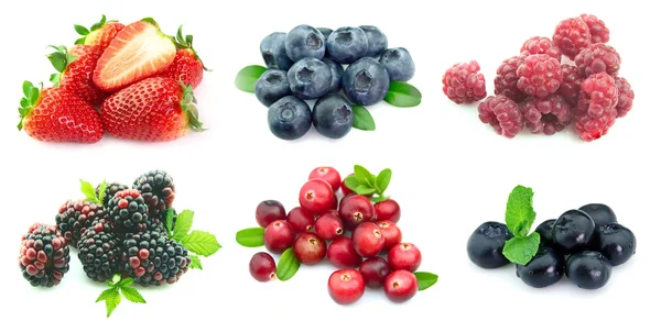Koleksi buah berry — Stok Foto