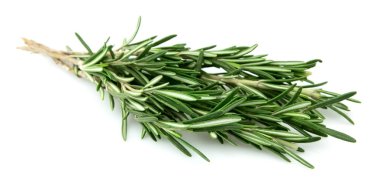 Twig of rosemary clipart