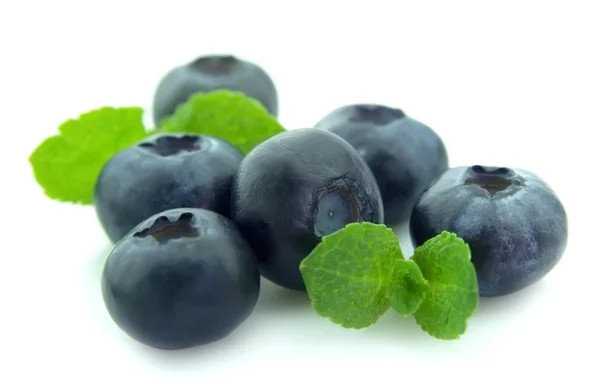 成熟蓝莓与薄荷 — 图库照片