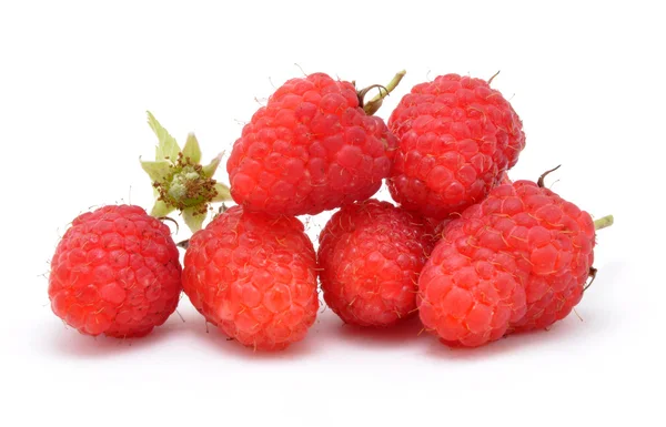 stock image Berries of raspberry