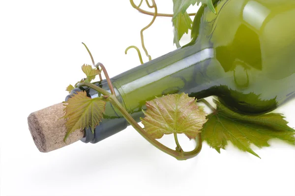 ブドウの蔓とボトル — ストック写真