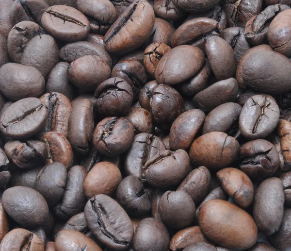 Korrels van koffie — Stockfoto