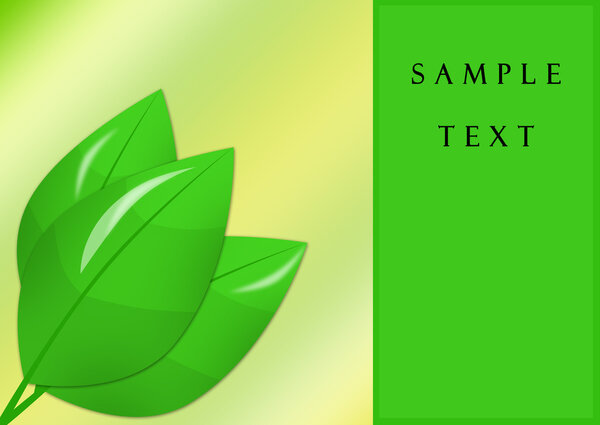 Зеленая ветка
