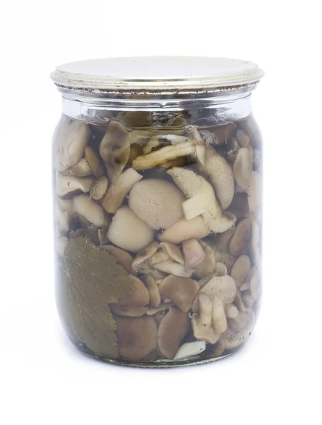 Canned mushrooms — Stock Photo, Image