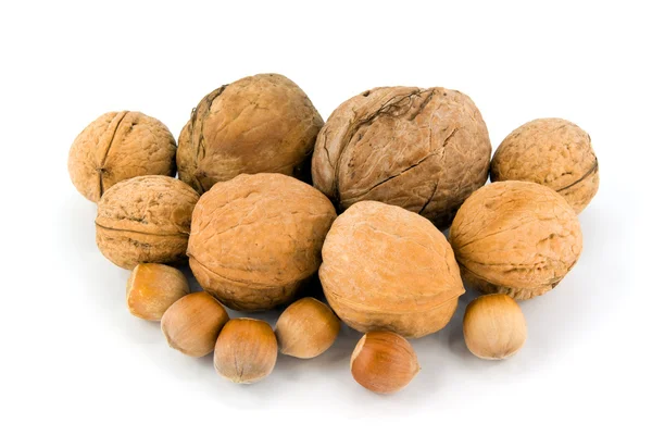Wallnut en hazelnoot — Stockfoto
