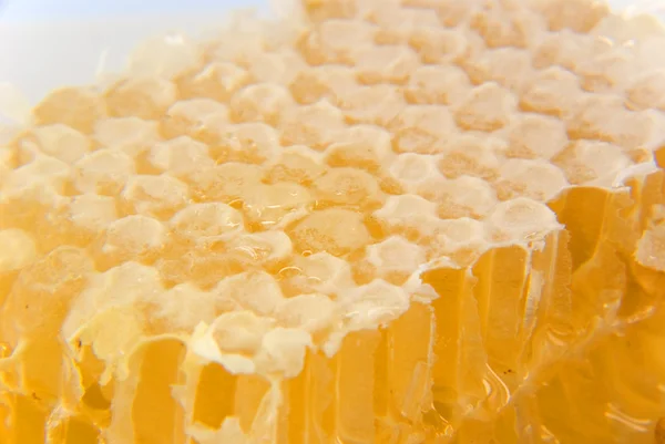 Stock image Honeycomb