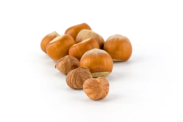 Hazelnut — Stock Photo, Image