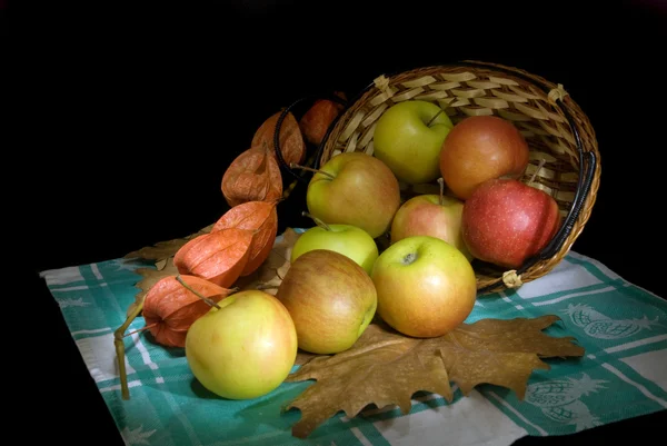 Apple in basket — Stock Photo, Image