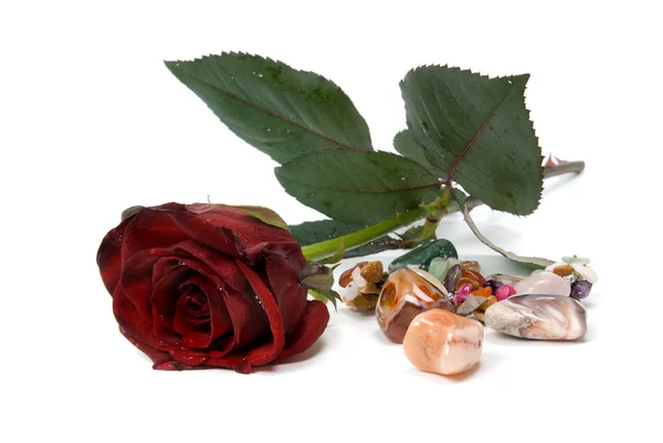 Decorative Bottle Rose White Background — Stock Photo, Image