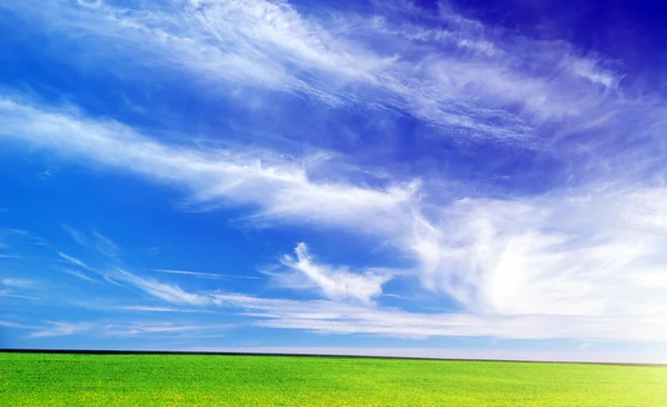 Простое и голубое небо — стоковое фото