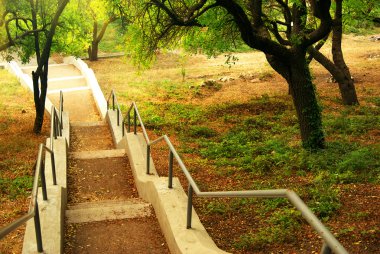 Güzel park girsin