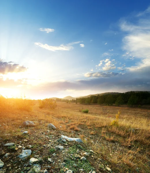 Puesta de sol y gran prado verde — Foto de Stock