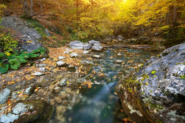 Jesienią rzeka — Zdjęcie stockowe