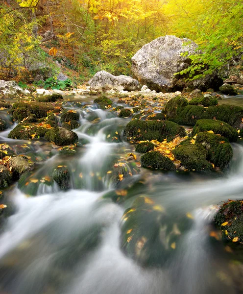 Podzimní řeka — Stock fotografie