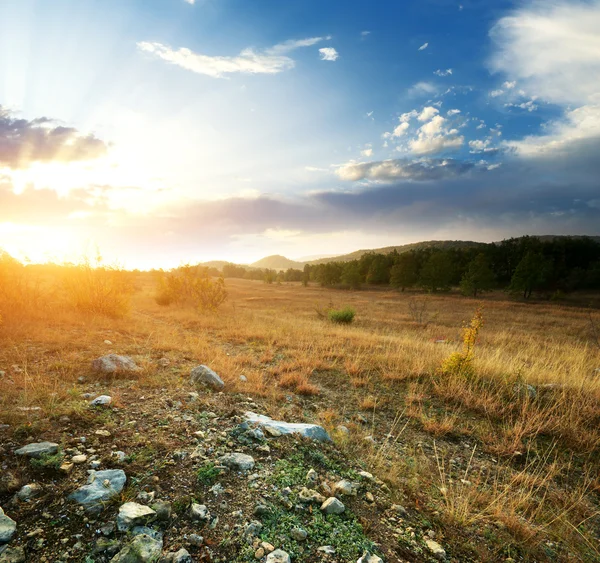 Puesta de sol y gran prado verde — Foto de Stock