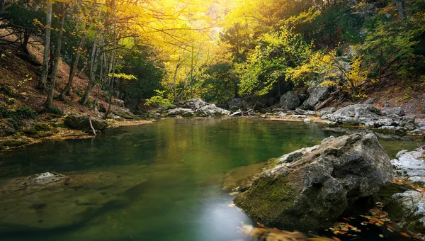 秋の森の湖. — ストック写真