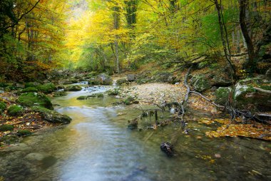 River in autumn forest clipart