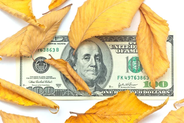 Dollar in autumn leafs — Stock Photo, Image