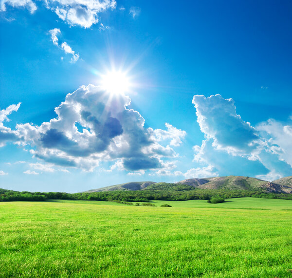 Зеленый луг в горах