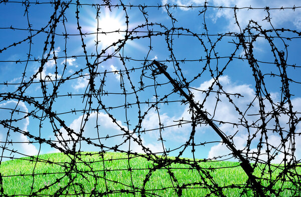 Barbed wire and freedom