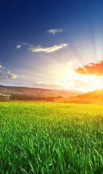 Salida del sol en el prado de Grean — Foto de Stock