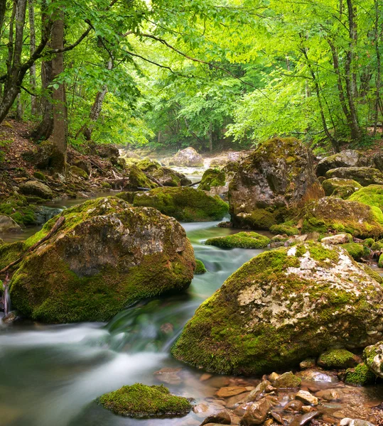 Río de primavera en cañón — Foto de Stock