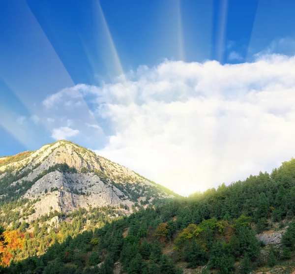 Panorama in mountain — Stock Photo, Image