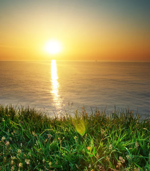 Spring grass and seascape — Stock Photo, Image