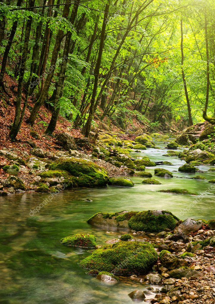 River Deep In Mountain Forest Stock Photo By ©zatvor 5019797