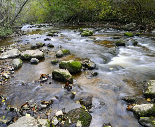 Panorama rwąca rzeka — Zdjęcie stockowe