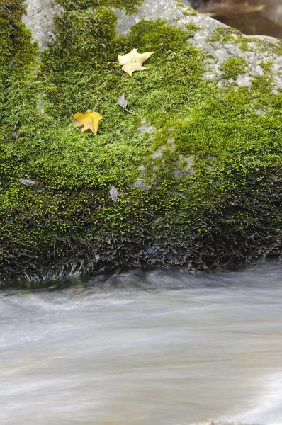 Pedra no rio — Fotografia de Stock